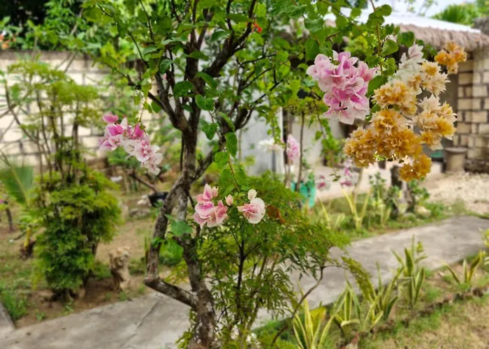 The Layar 招待所